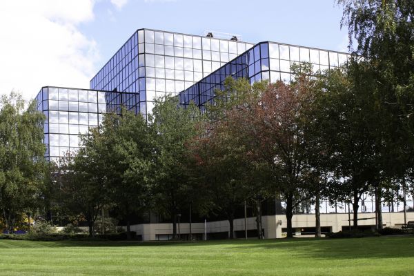 Commercial Tree Trimming in Lake Orion