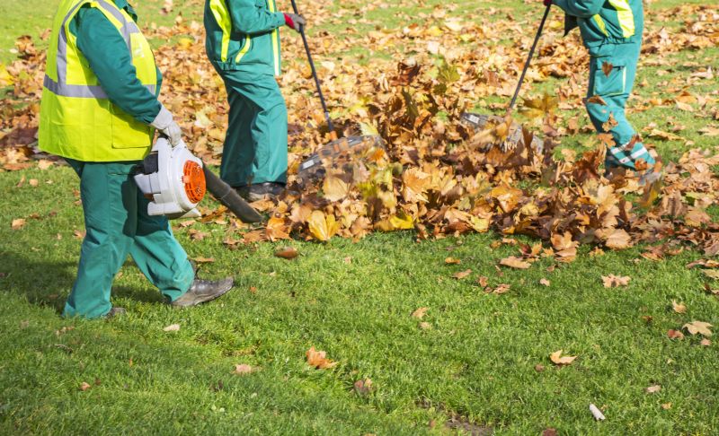 Leaf Removal at a Property
