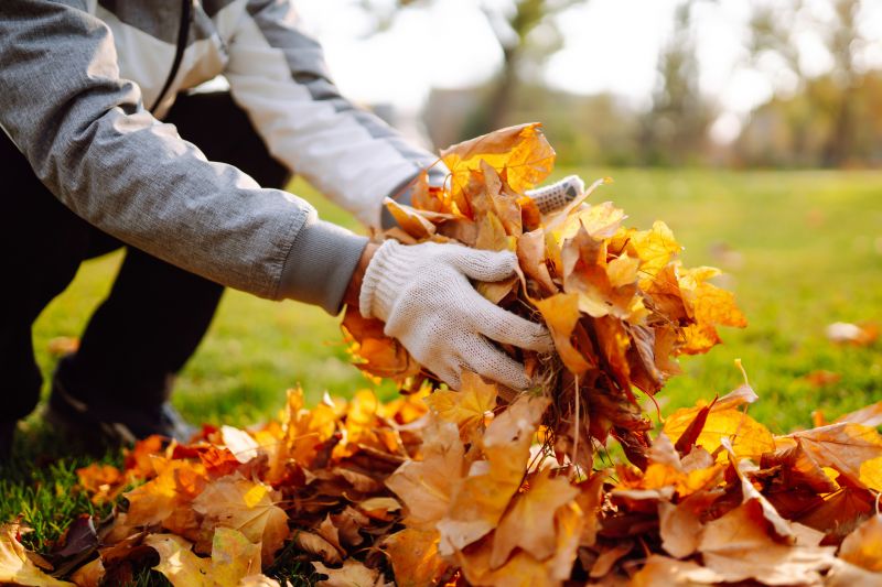 Leaves Gathered for Collection