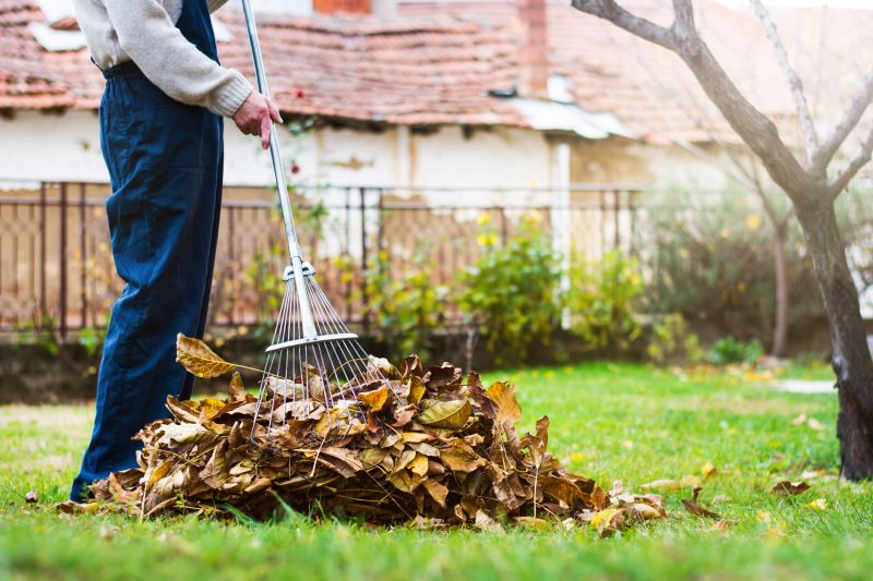 Comprehensive Leaf Cleanup