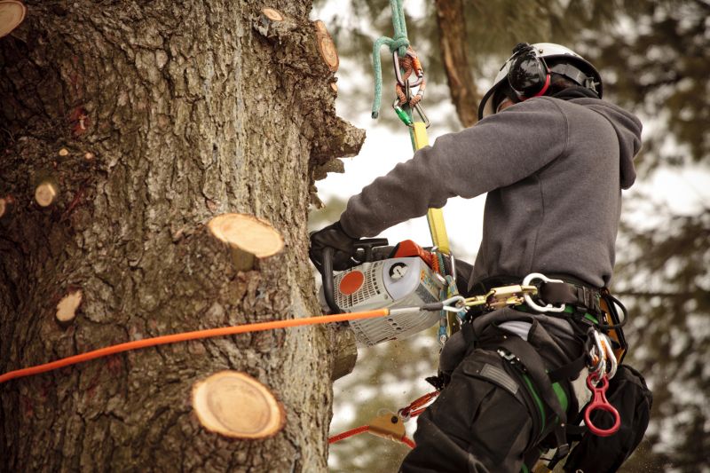 Precision Tree Pruning