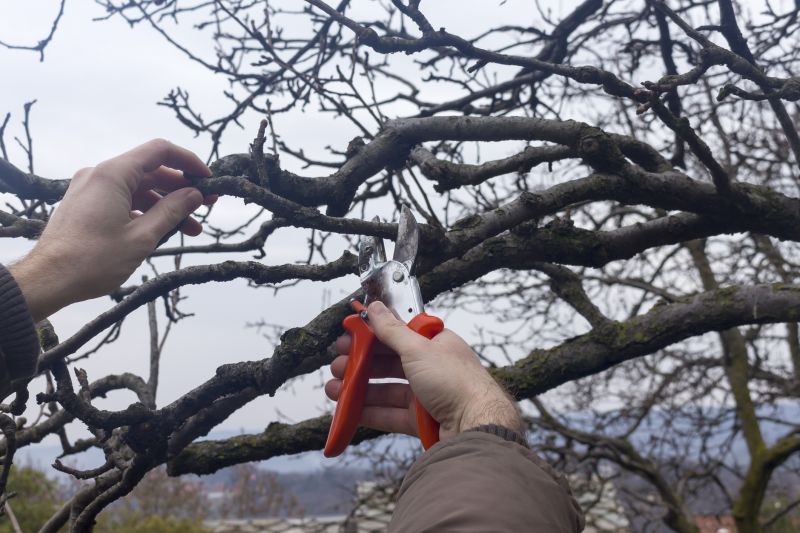Spring Pruning Benefits